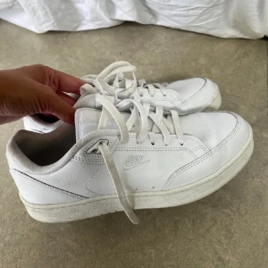 Nike skor  - Använda fåtal gånger. Storlek 40, men skulle säga att de är mer som 39