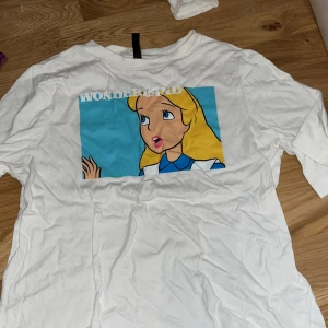 Alice i underlandet t shirt - Alice i underlandet T-shirt köpt på H&M i storlek XS! Inga fläckar eller något. KÖparen star for frakten! Pris diskuteras!