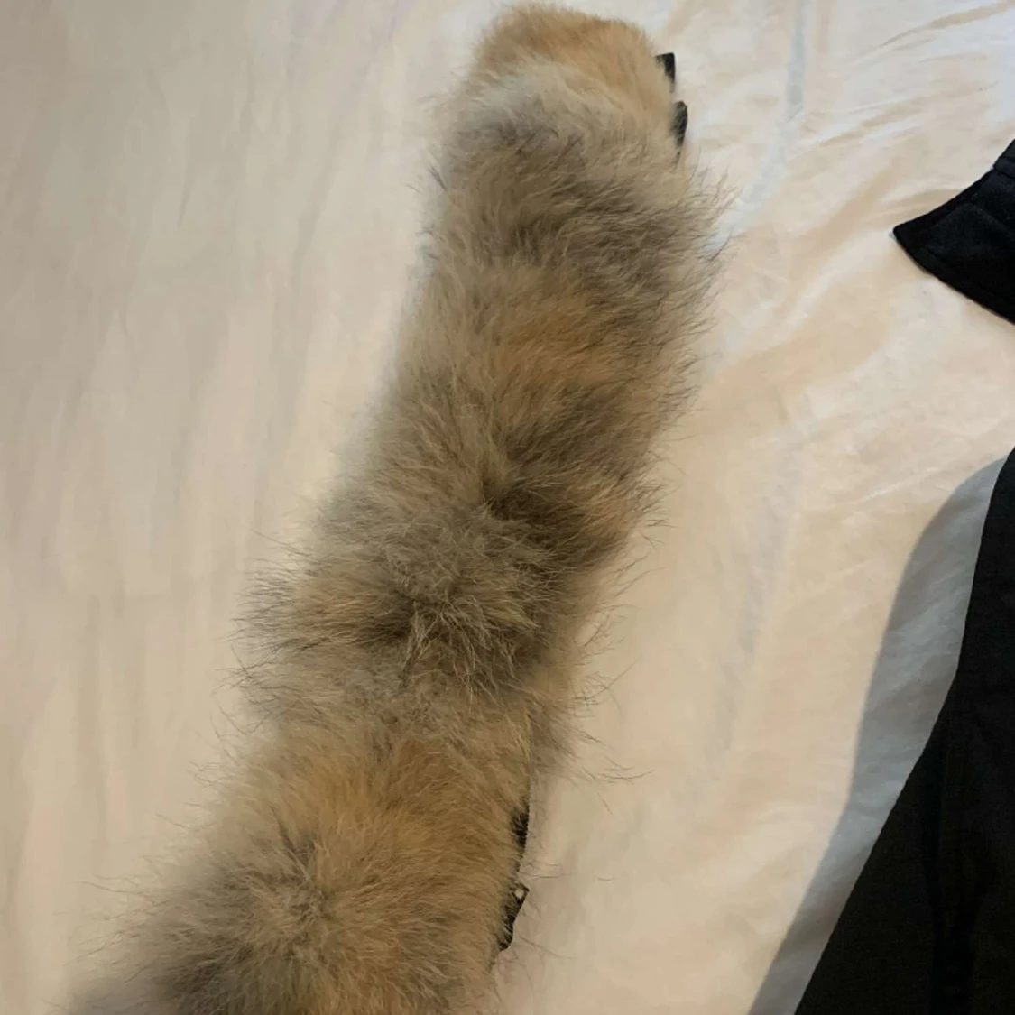 Tja tänkt o sälja canada goose jacka  - 91