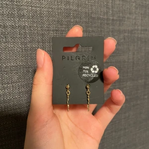 örhängen - örhängen från pilgrim