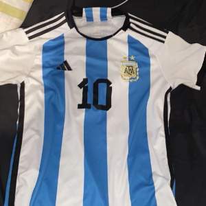 En riktig fin Argentina tröja med nummer 10 och messi på ryggen riktigt fin till sommaren 