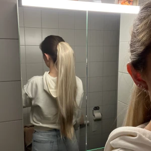 Avtagbar hästsvans - Aldrig använd endast prövad,färgade håret så kom inte till nytta. Påsen och borsten medföljer 