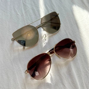 Solglasögon  - Lite repor 30 för båda