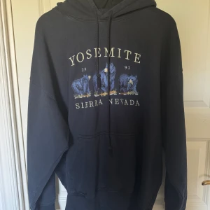 Hoodie - Hoodie från brandy. Använd en del men inga defekter😇. Storleken är one siar men är oversized så passar de flesta beroende på hur man vill att den ska sitta