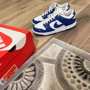 Nike Dunk Low SP Retro Kentucky - Säljes i bra skick. Lite spår av användning men inget märkvärdigt, se bilder. Fick de i present och kan inte så mycket om skor men har ingen användning av längre, därav till salu. Pris kan diskuteras vid smidig affär. Passar 42 o 43 med.