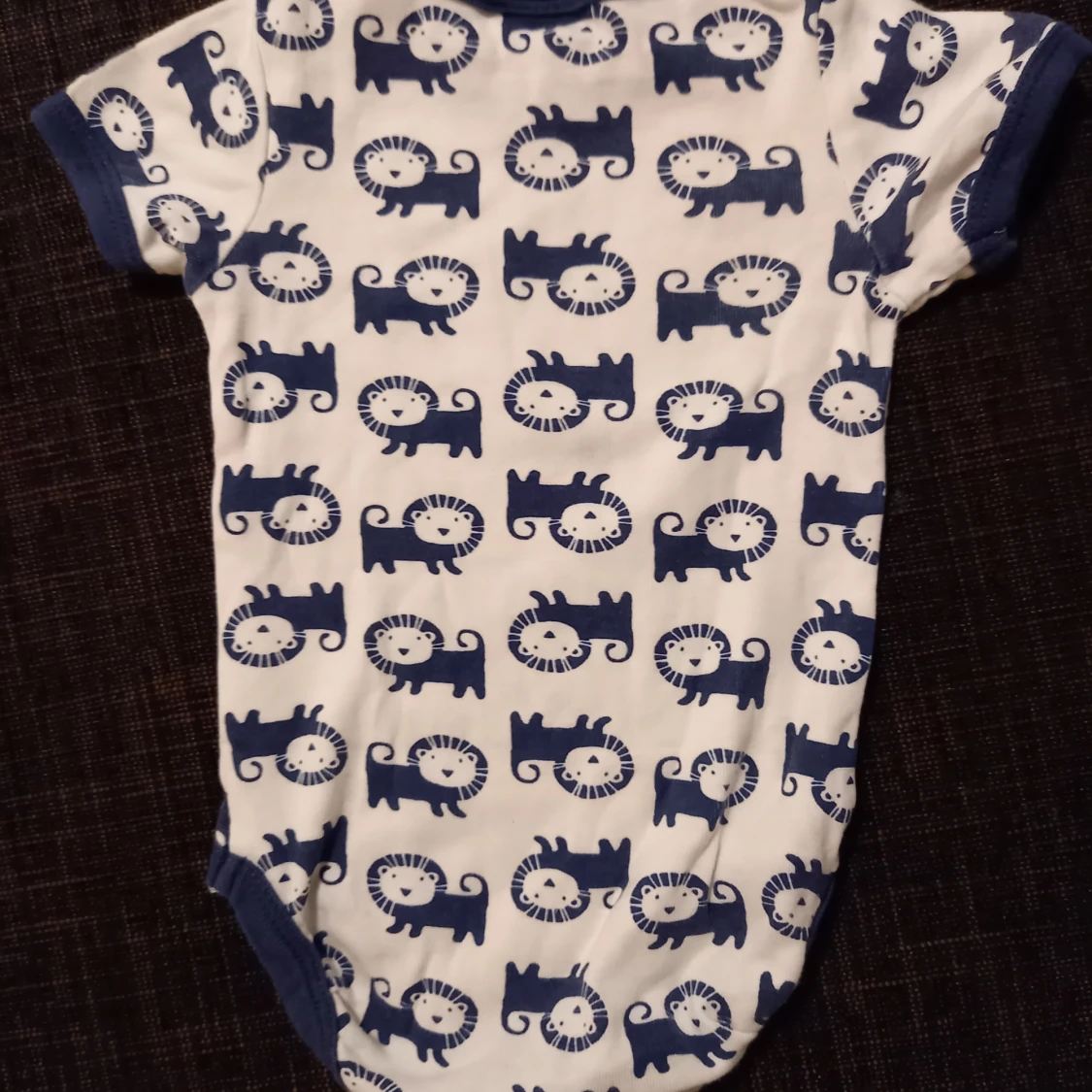 Lejonbody strl. 56 - 90