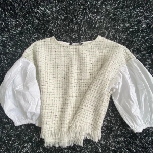 Blus från Zara  - Super fin!! glittrig blus från Zara, använd bara 1 gång. Passar på nästan alla Outfits💖