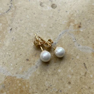 Pärlörhängen  - Pärlörhängen med guldpläterat silver. 