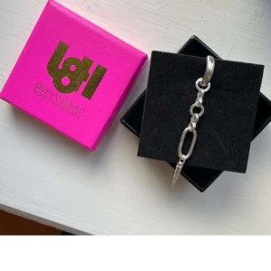 L8 Hasselblad  - Säljer detta l8 Hasselblad örhänge hör av dig🥰