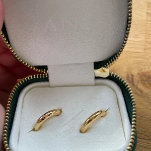 Ani örhängen - Jättefina helt oanvända örhängen från Ani. Fick de i present och råkade ta av plomberingen så kunde inte returnera. Nypris 850kr köparen står för frakten