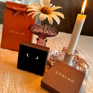 Örhängen Edblad  - Örhängen från Edblad motivet på Örhängerna är en måne  I stål  Nyskick, Vill ni att jag skickar örhängerna i en Edblad låda kostar det 15kr extra + frakt