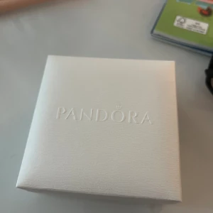 Pandora  - Säljer detta otroligt fina Pandora halsbandet i silver. Fick detta i födelsedags present detta året men jag är en guld tjej och bär inte silver❤️ aldrig använt! Kan självklart sälja den på vinted där både frakten och köparskyddet är billigare om det efterfrågas! 