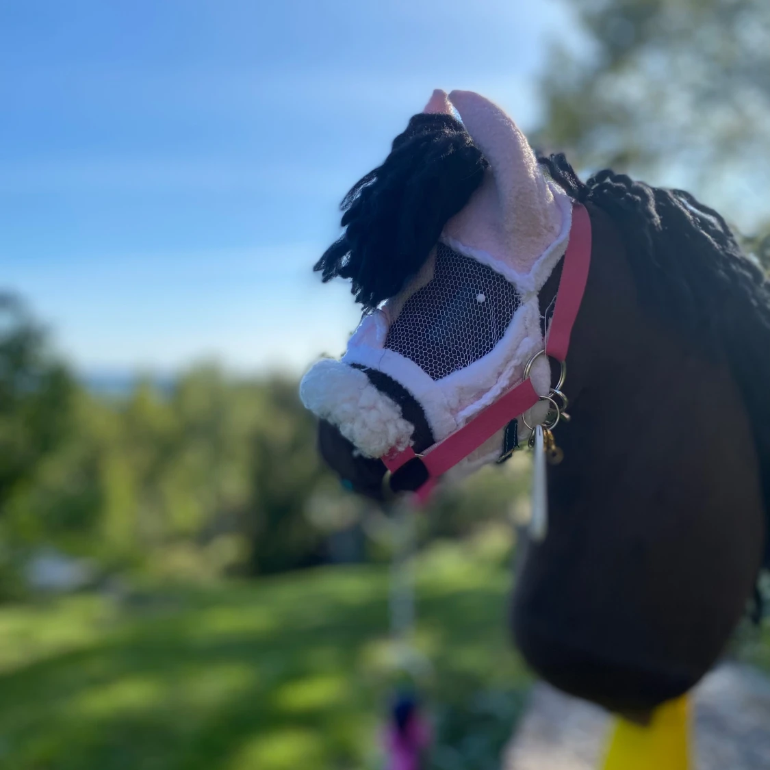 Fin käpphäst  - 93