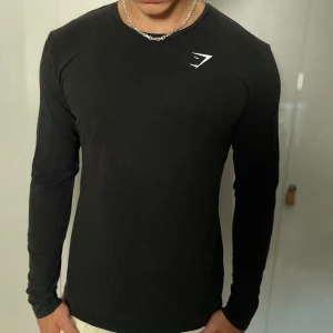 Gymshark long sleeve - Hyfsat bra skick, strl M. Stryks och tvättas såklart en gång extra innan frakt. 