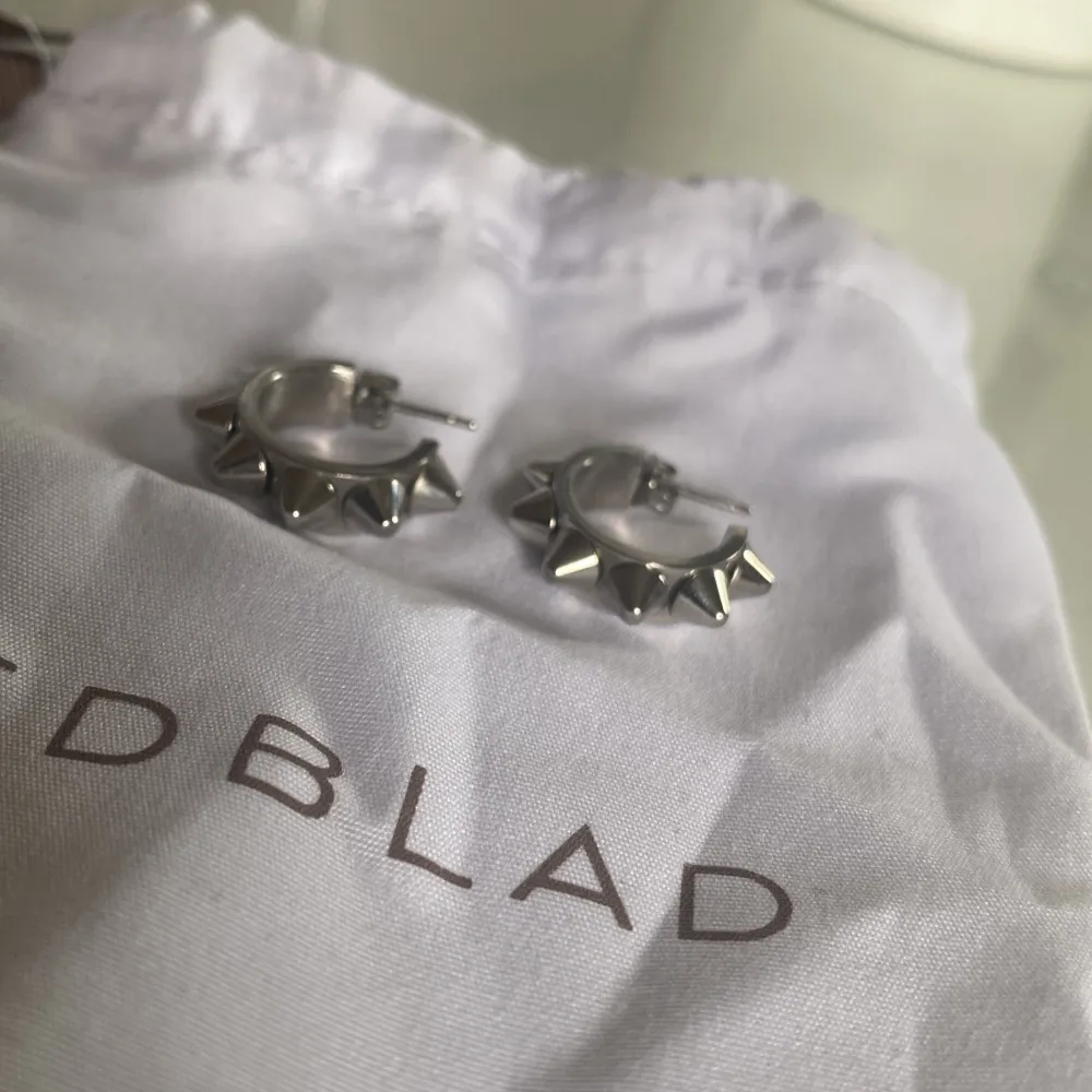 Säljer dessa populära silver örhängen från Edblad! Har använt dem typ 2 gånger och de är som nya! Använder de inte längre så jag säljer dom. Man får med plupparna + en liten Edblad påse☺️. Accessoarer.