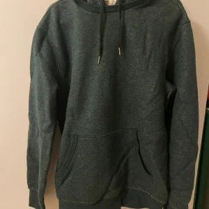 Hoodie - Säljer en grön hoodie med Teddy material i luvan