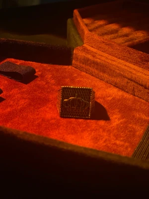 Häftig ring - Sjuuuuukt snygg ring som passar till allt och alla!