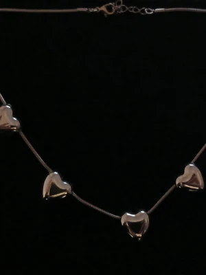 Silverhalsband med hjärtan - Snyggt halsband i silverfärg med flera blanka hjärtan på en tunn kedja. Hjärtana är jämnt fördelade längs kedjan och ger ett gulligt och stilrent intryck. Perfekt för dig som gillar enkla men fina detaljer. 