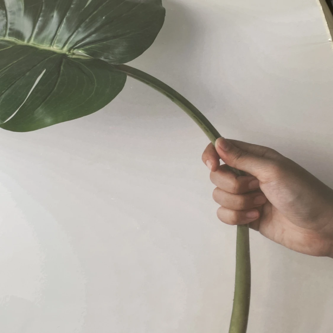 Poster i kartong, - 1