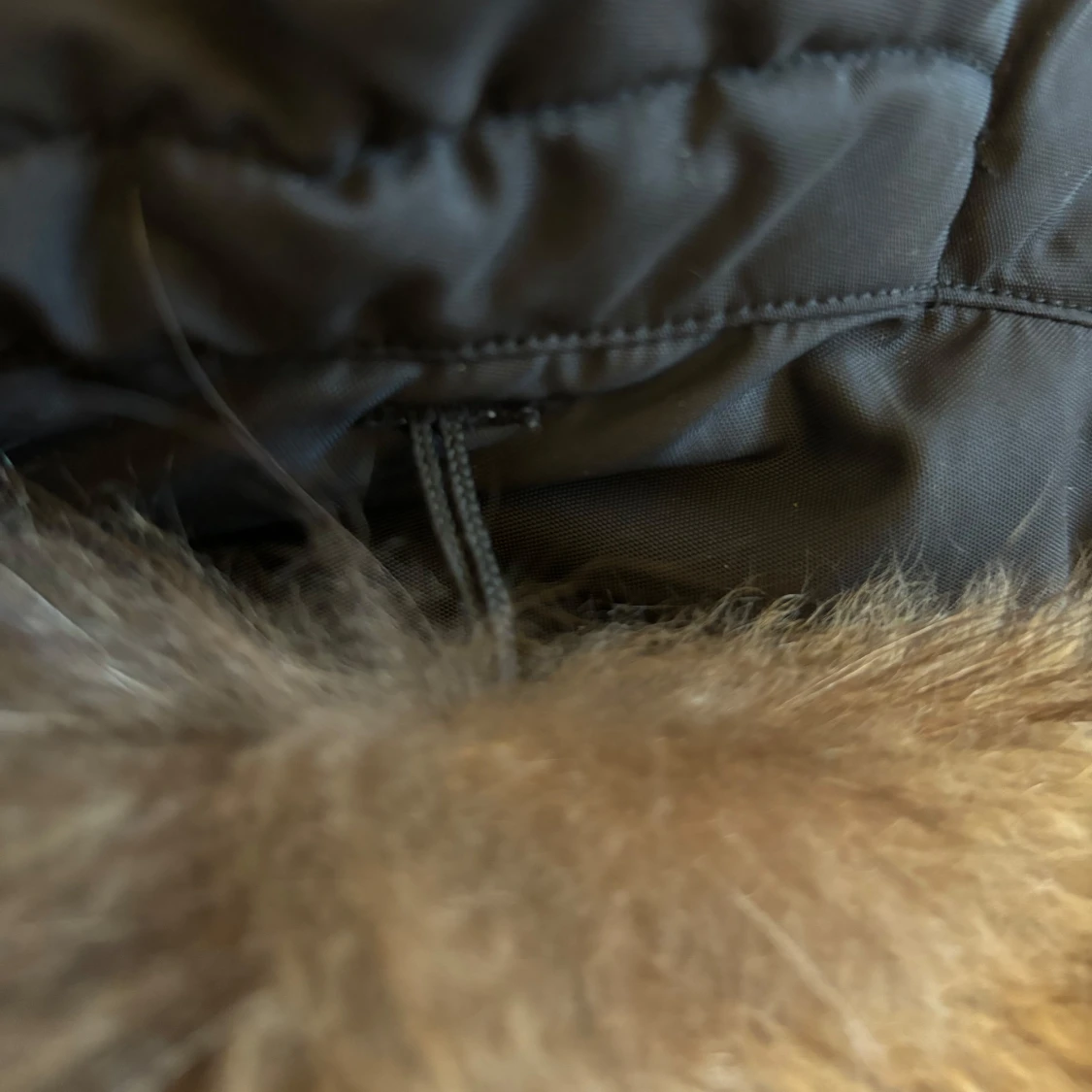 Svart Hollies dunjacka med päls - 4