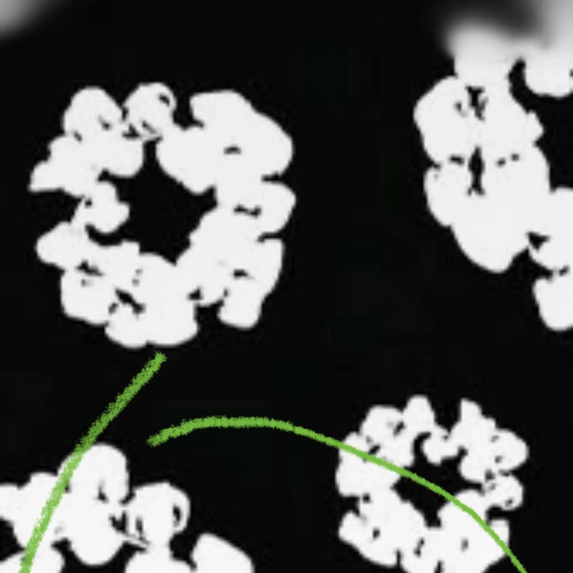 Nya moncler maya - 3