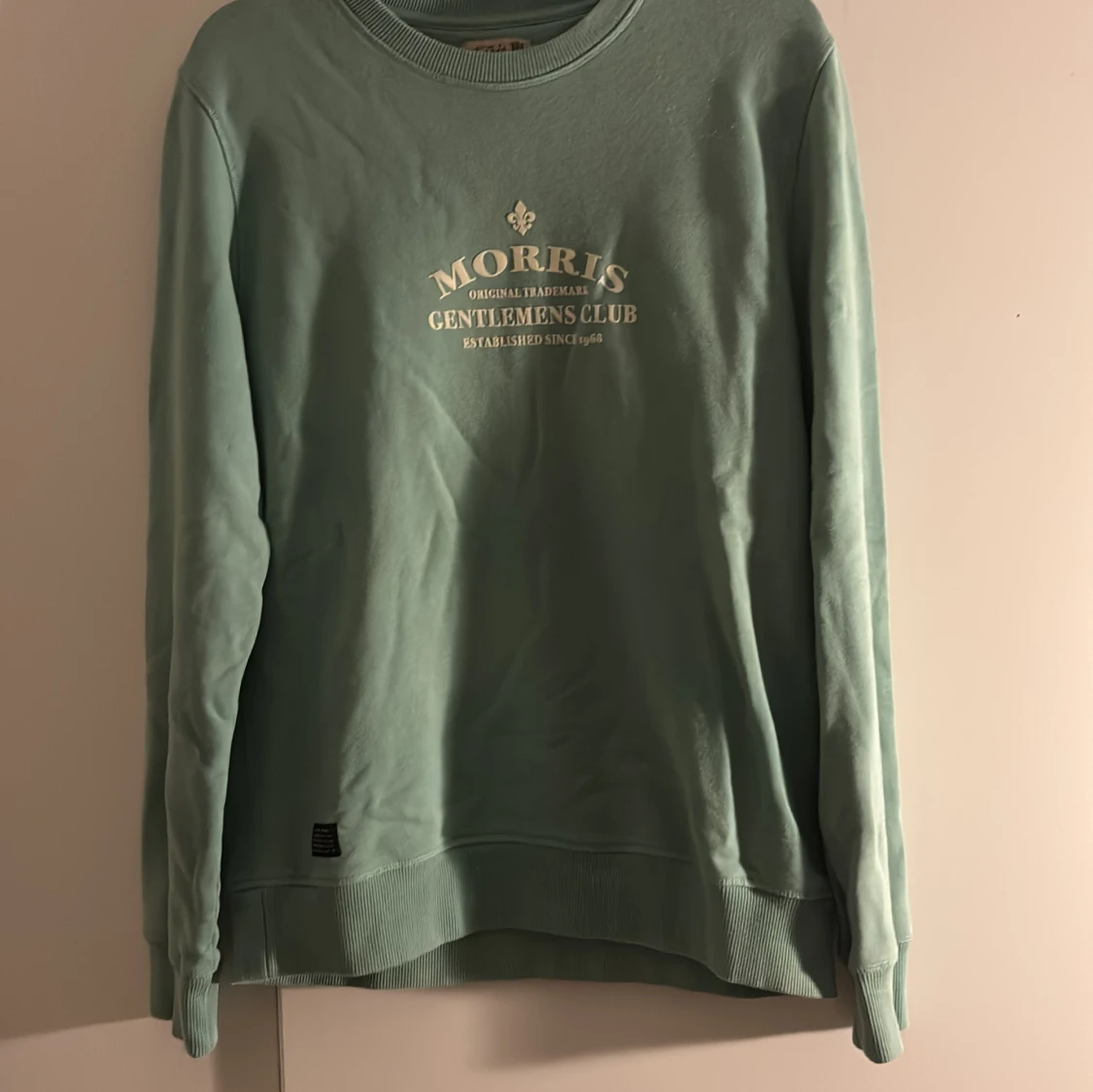 Mintgrön sweatshirt från Morris