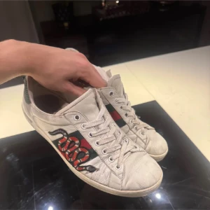 Gucci ace - Gucci ace