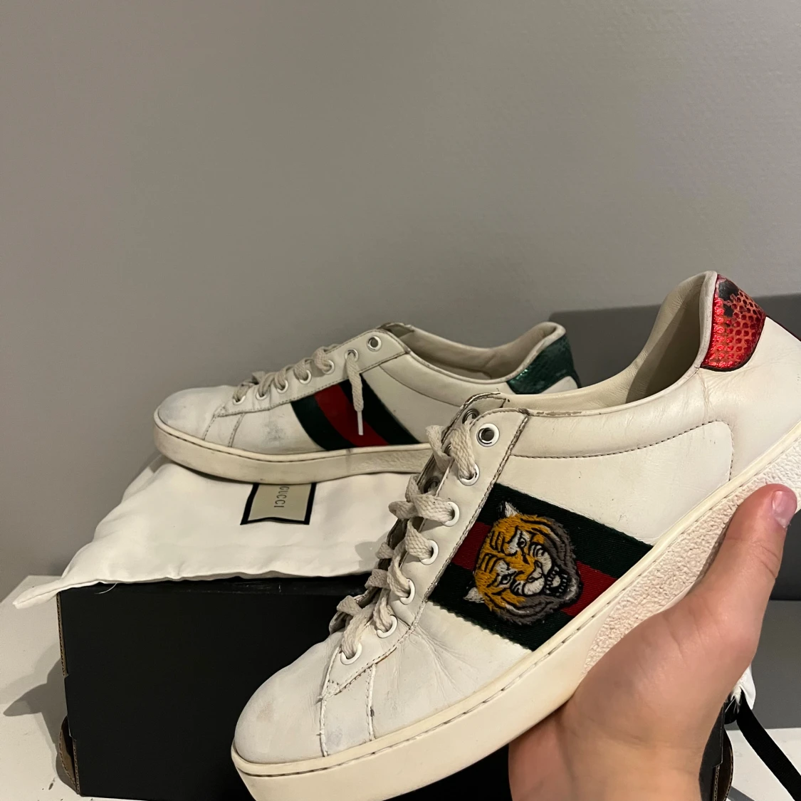 Gucci ace  - 3