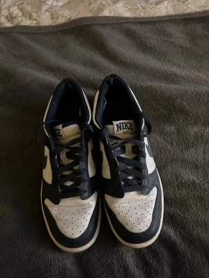 Nike Dunks  - Storlek: 40 Märke: Nike  Färg: Vit, marinblå, mörkgrön  Skick: Rena och fina bortsett från att där är viss slitning vid hälen.   Mycket fina skor till kommande vår och sommar! 💙