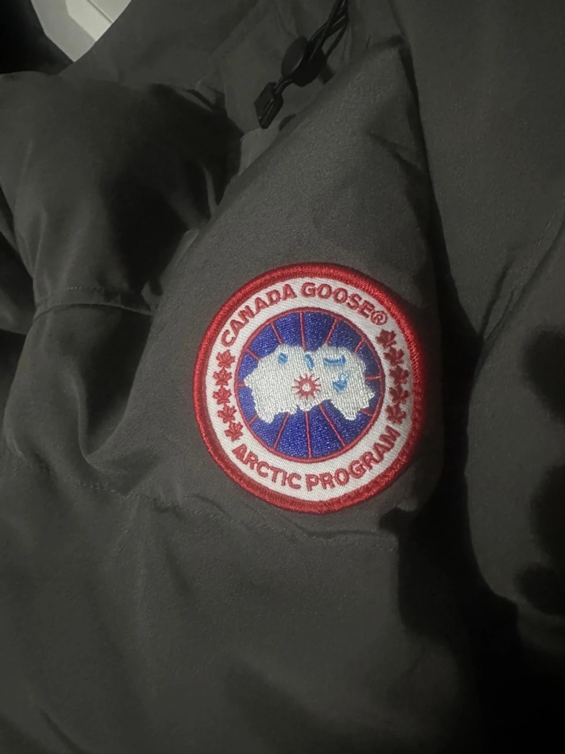 Grå Canada Goose dunjacka M - 6