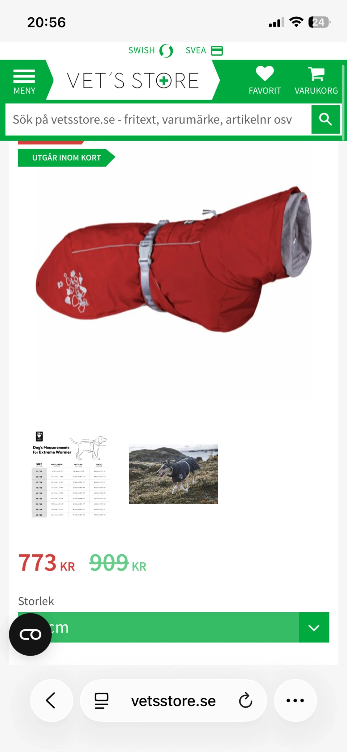 Vinter täcke hund - 4