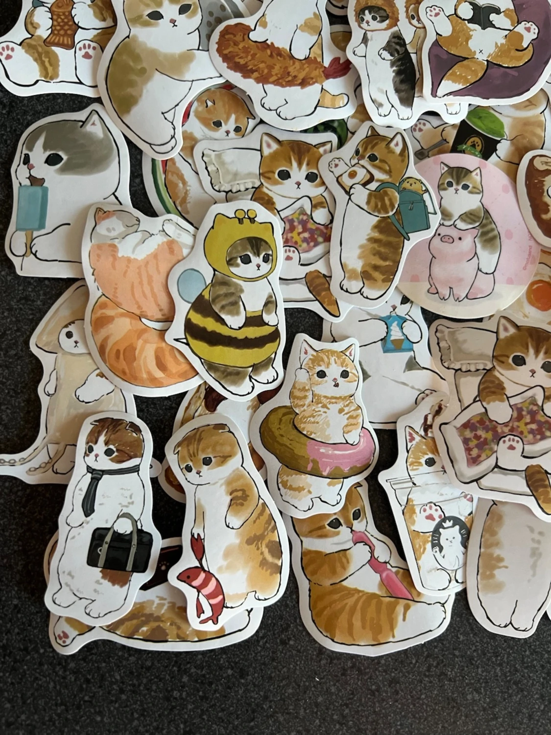 Katt klistermärken  - 1