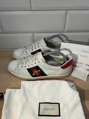 Gucci Ace  - Gucci Ace i bra skick🙌🏽| Storlek: 40,5 kan passa 41,5 | Ingår: Dustbag, kort och kvitto med mera | Skriv vid frågor eller diskussion om pris✍🏼| Frakt inom 48h📦