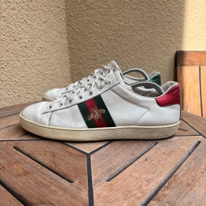 Guccl Ace skor - Skick 8/10- endast skorna tillkommer- skriv om du har några frågor! Storlek 39,5 men passar 40&40,5!