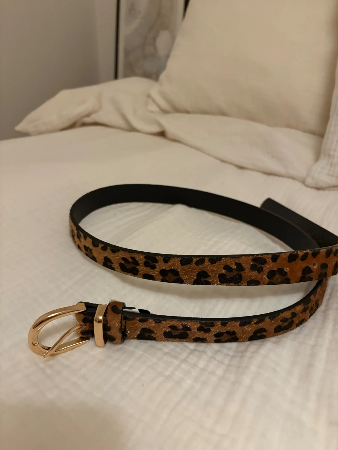 Leopard skärp  - 2