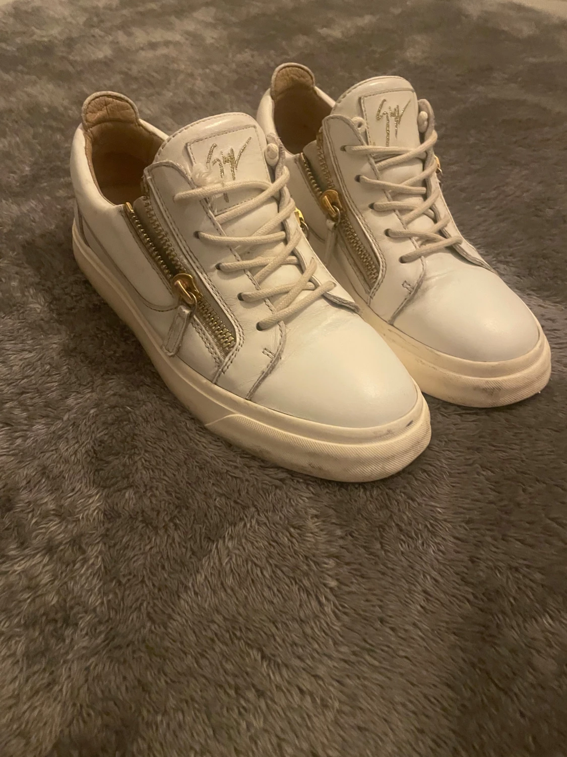 giuseppe zanotti skor