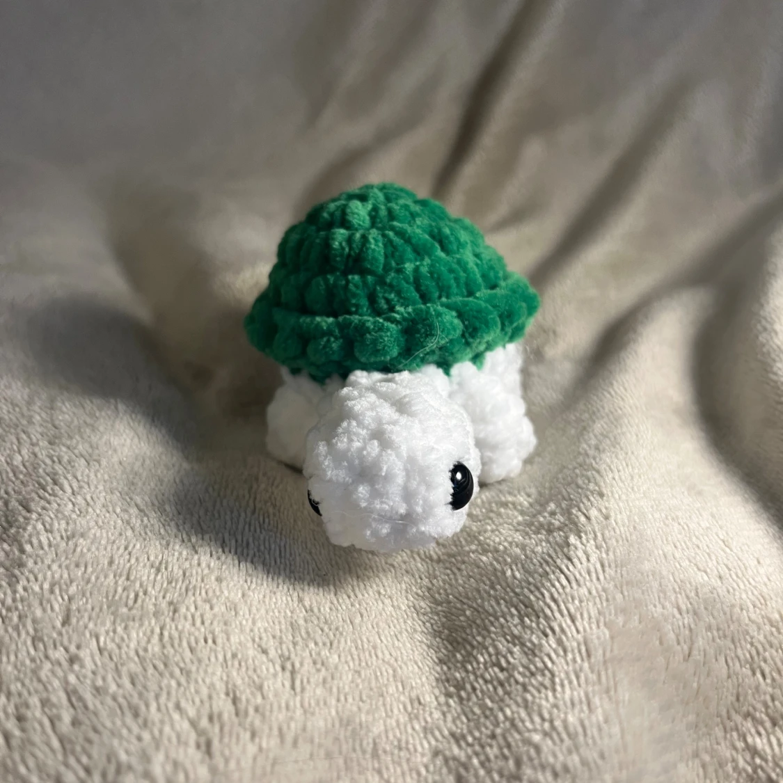 Grön sköldpadda - 1