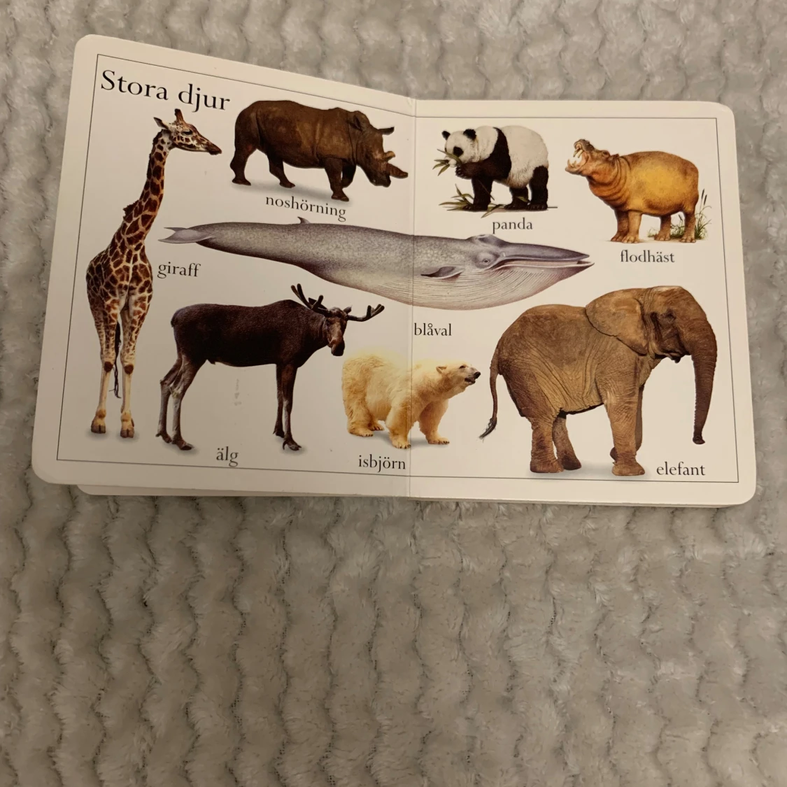 Min lilla djurbok - 2