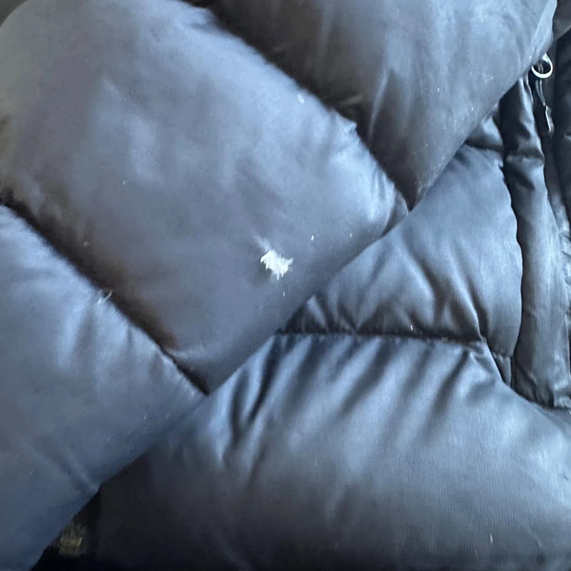 Svart pufferjacka från Sail Racing - 3