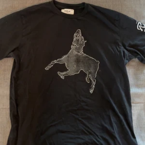 Svart t-shirt  från Replay - Cool svart t-shirt från Replay med ett stort tryck  och vit textdetalj på ärmen. Klassisk rund hals och korta ärmar. Tillverkad i mjuk bomull som är skön att ha på sig hela dagen.