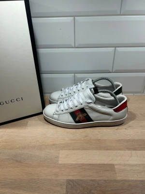 Gucci Ace  - Gucci Ace i mycket bra skick🙌🏽| Storlek: 42 passar 43 | Ingår: Box och dustbags | Vid frågor eller diskussion om pris är det bara att skriva ✍🏼 | Frakt inom 48h📦