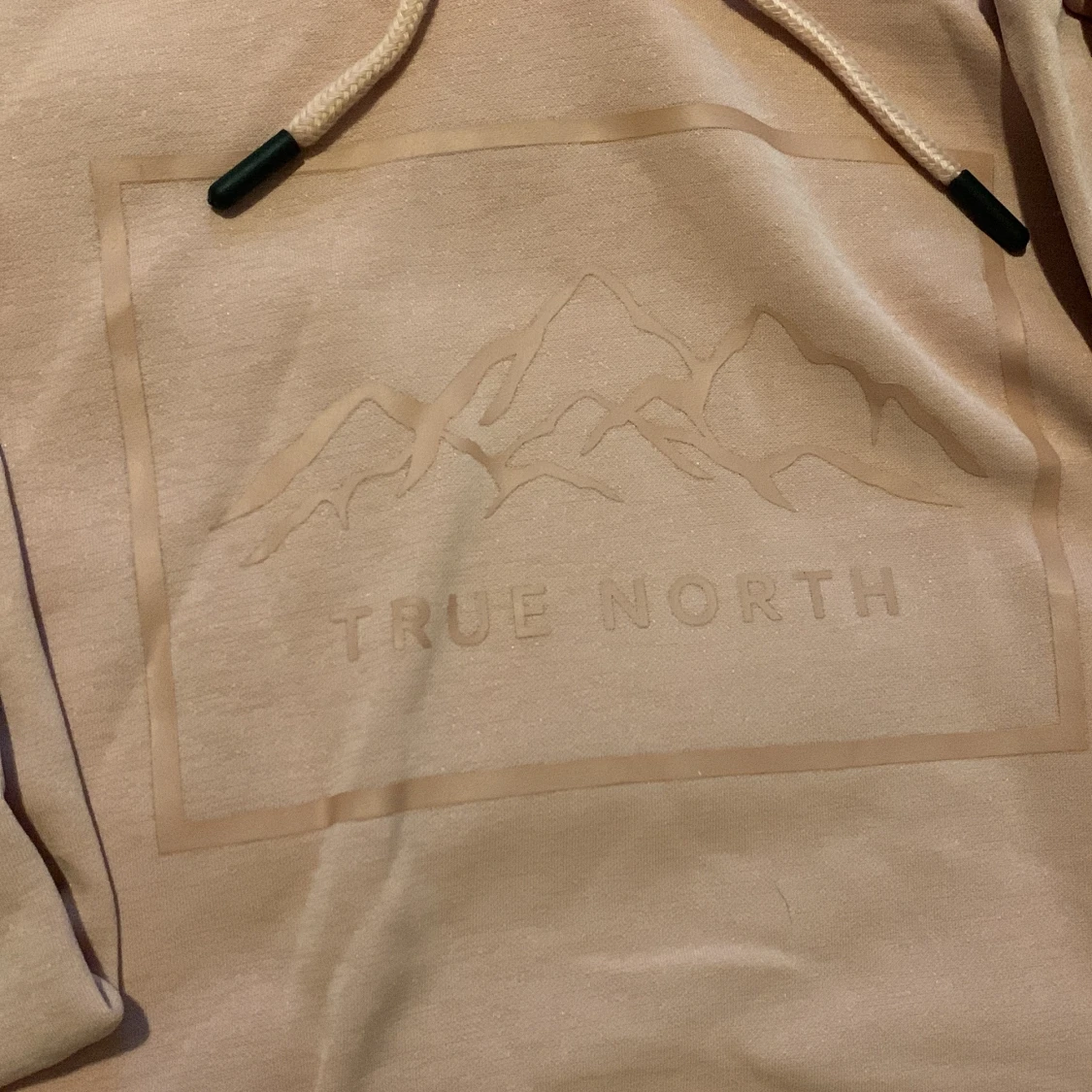 Rosa hoodie från True North - 1