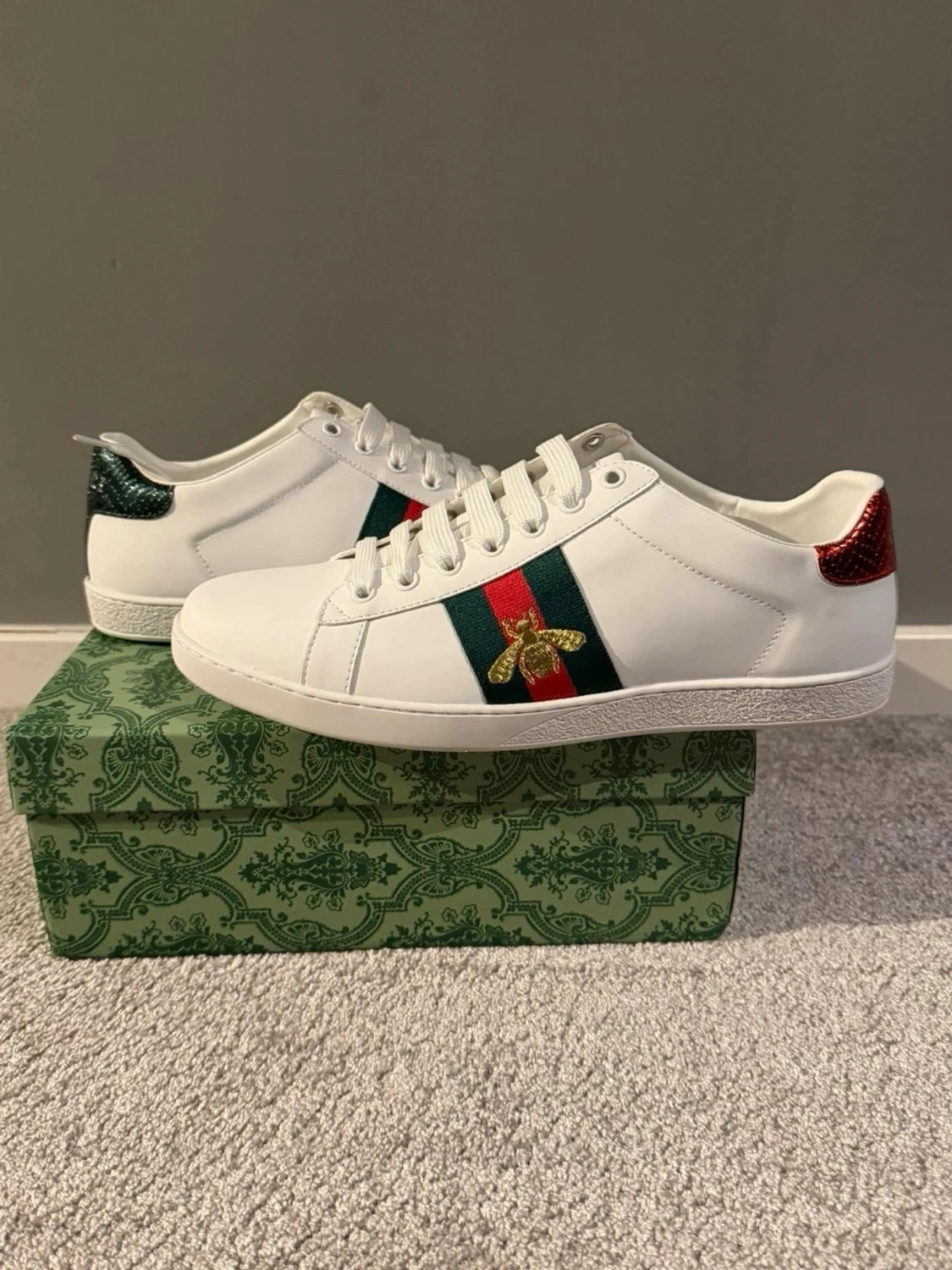 Gucci ace