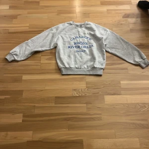 Grå sweatshirt från Gina Tricot XS - Grå sweatshirt från Gina Tricot i storlek XS med blå textprint 'Camargue Rhône River Delta France' på framsidan. 