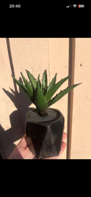 Konstgjord växt  - Konstgjord växt aleovera superfin 