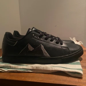 Svarta Alpine sneakers med bergmotiv - Svarta sneakers från Alpine med coolt bergmotiv på sidan och en liten skidåkare på hälen. Skorna har snörning, rund tå och är gjorda i skinnliknande material. Röd Alpine-logga på plösen och vita detaljer längs sömmarna ger en snygg kontrast. Asskön sula och perfekta för is och slask. 