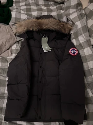 Canada Goose jacka - Säljer en  grå  dunjacka från Canada Goose med ikonisk patch på ärmen och fluffig päls runt huvan. Jackan har lång ärm, dragkedja och knappar framtill, samt quiltad design för extra värme. Insidan är fodrad med slätt material och jackan har en loose passform.
