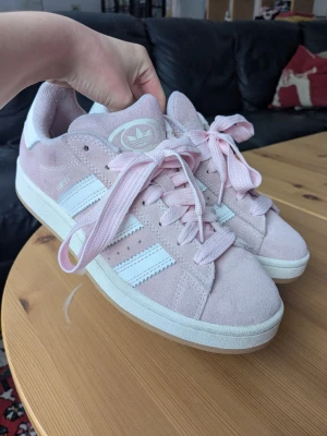 Rosa Adidas campus strl 40  - Rosa Adidas campus i storlek 40. Använda ungefär 10 gånger om inte mindre. I perfekt skick, Skriv om ni har frågor!