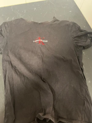 Svart Calvin Klein Jeans t-shirt - Svart t-shirt från Calvin Klein Jeans med klassisk CK-logga i rött och vitt på bröstet. T-shirten har rund hals och korta ärmar. Tillverkad i mjuk bomull för en skön och avslappnad vibe.