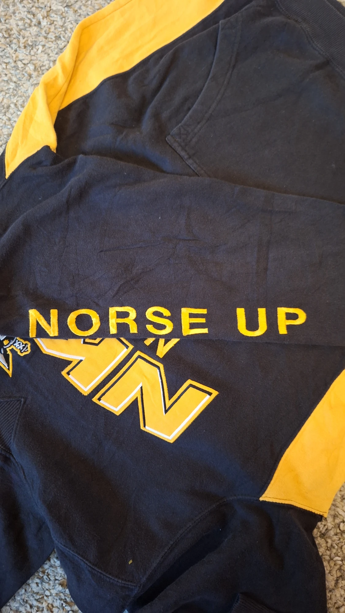 Champion NKU Norse hoodie - 3